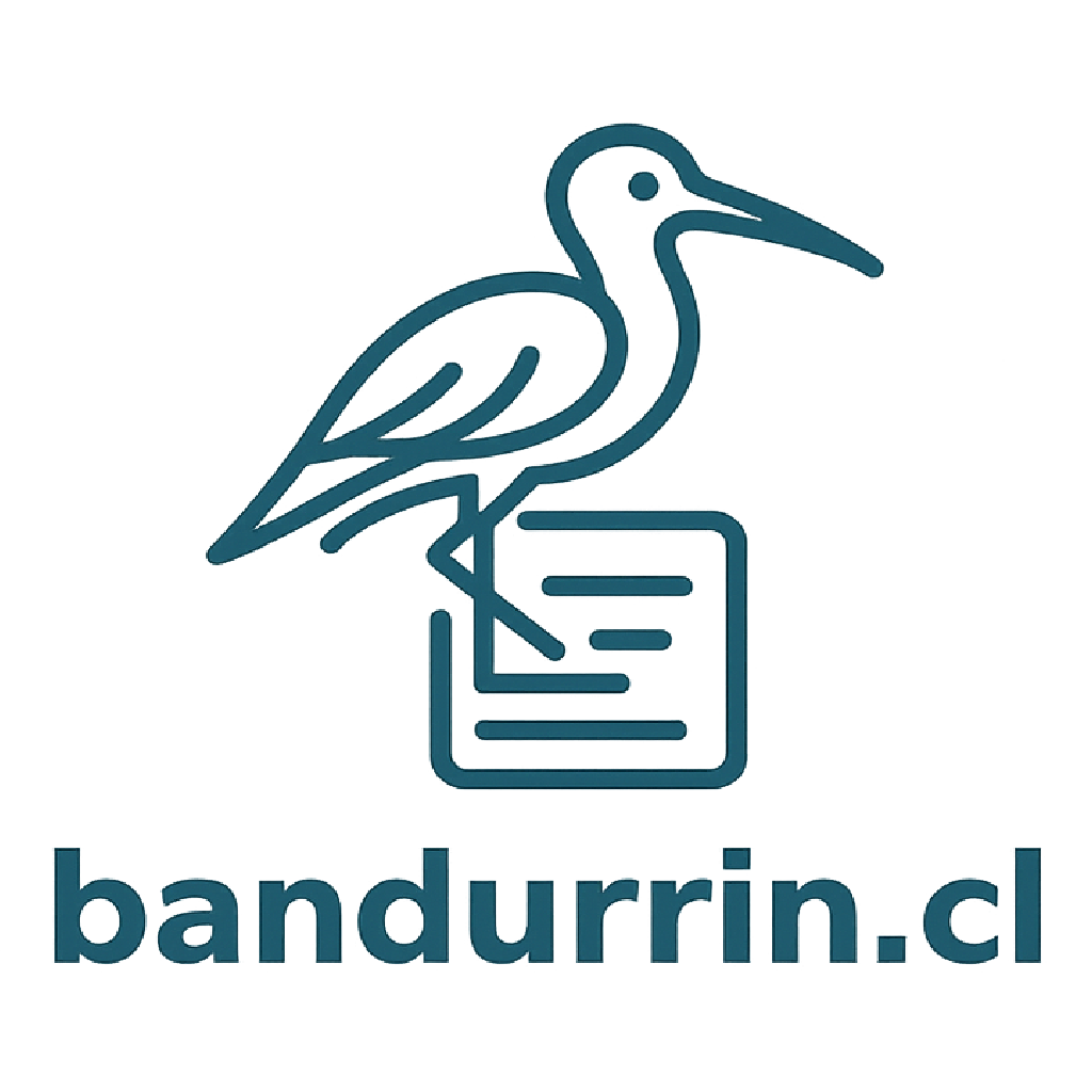bandurrín.cl - Visor de Concejos
